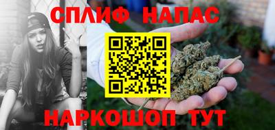 гидра Рязань